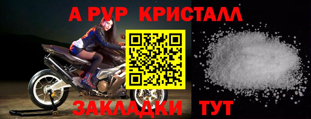 A PVP СК Новочеркасск