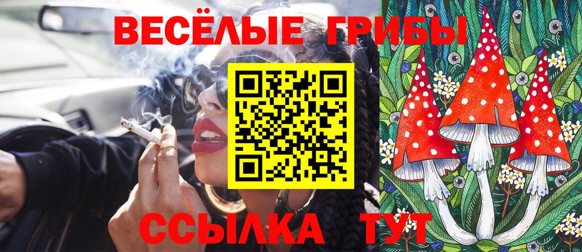 Новочеркасск  Псилоцибиновые грибы мицелий  Вход с VPN 